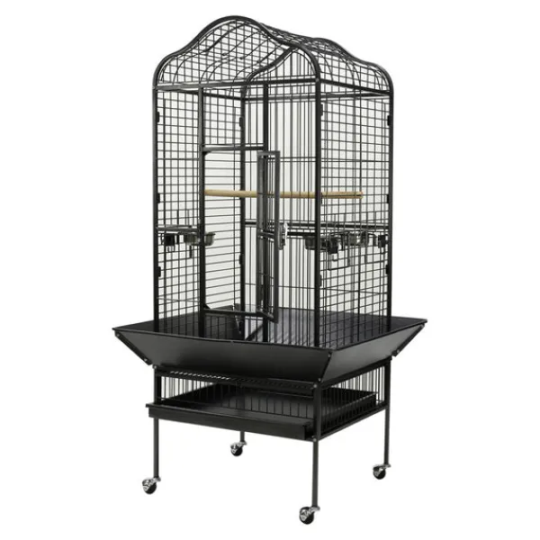 Discount Paradise - Scallop Top Small Aviary