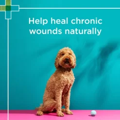 Clearance Blackmores PAW - Manuka Wound Gel for Dogs, Cats and Horses (25g)