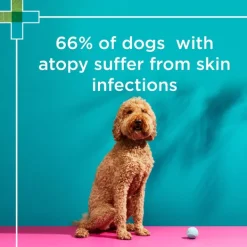 Hot Blackmores PAW - MediDerm Gentle Medicated Shampoo for Dogs (500ml)