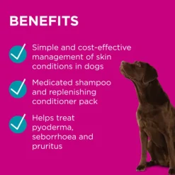 Discount Blackmores PAW - Medi-NutriDerm Infected Skin Duo Pack for Dogs and Cats (2x200ml)