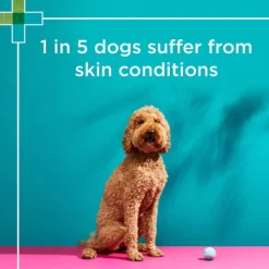 Discount Blackmores PAW - Medi-NutriDerm Infected Skin Duo Pack for Dogs and Cats (2x200ml)