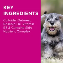 Outlet Blackmores PAW - NutriDerm Itchy Skin Duo Pack for Dogs and Cats (2x200ml)
