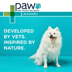 Best Blackmores PAW - NutriDerm Replenishing Conditioner for Dogs and Cats (500ml)