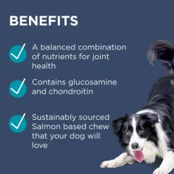 New Blackmores PAW - Osteocare Joint Protect for Dogs (60pk)