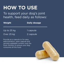 Best Blackmores PAW - Osteosupport Joint Care Powder for Dogs (150pk)