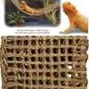New Pet Pacific Misc. Penn Plax - Lizard Loungers Corner (X-Large)