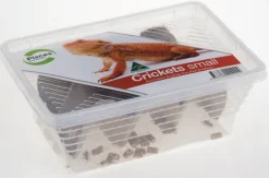 Hot Pisces Live Pisces - Live Crickets Small Tub