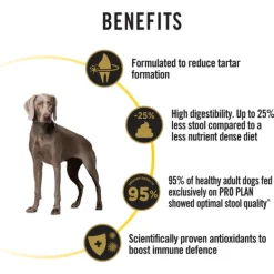 Sale Proplan - Dry PRO PLAN Adult 7+ Bright Mind Chicken Dry Dog Food (12kg)