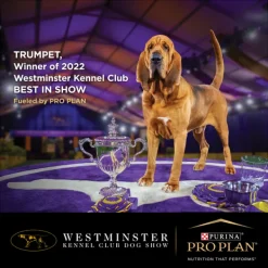 Fashion Proplan - Dry PRO PLAN Adult Sensitive Digestion Dry Dog Food (12kg)