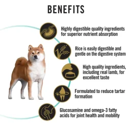 Fashion Proplan - Dry PRO PLAN Adult Sensitive Digestion Dry Dog Food (12kg)