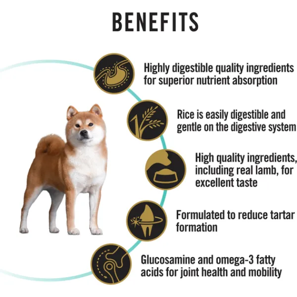 Fashion Proplan - Dry PRO PLAN Adult Sensitive Digestion Dry Dog Food (12kg)