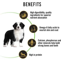 Sale Proplan - Dry PRO PLAN Puppy Medium Breed Chicken Dry Dog Food (15kg)