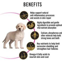 Sale Proplan - Dry PRO PLAN Puppy Sensitive Skin & Stomach Dry Dog Food (12kg)