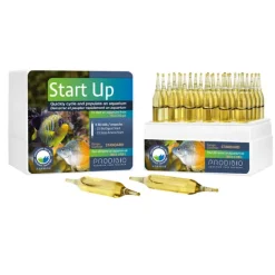 Fashion Prodibio - Start Up 30 vials (900L)