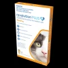 Online Zoetis Revolution Plus - Medium Cat (3pk)