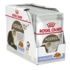 Clearance Royal Canin - Wet Royal Canin - Ageing 12+ Jelly Cat Wet Food (85g x 12pk)