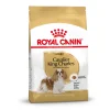 New Royal Canin - Dry Royal Canin - Cavalier King Charles Breed Adult Dog Dry Food (3kg)