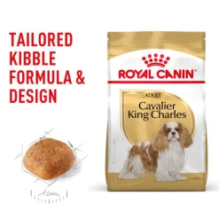 New Royal Canin - Dry Royal Canin - Cavalier King Charles Breed Adult Dog Dry Food (3kg)