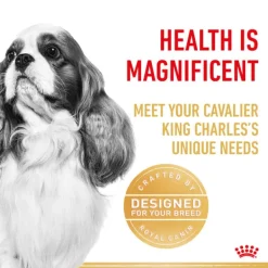 New Royal Canin - Dry Royal Canin - Cavalier King Charles Breed Adult Dog Dry Food (3kg)