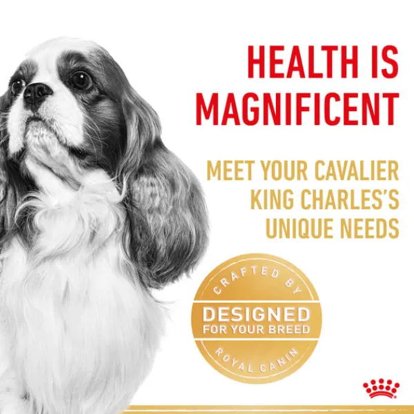 New Royal Canin - Dry Royal Canin - Cavalier King Charles Breed Adult Dog Dry Food (3kg)