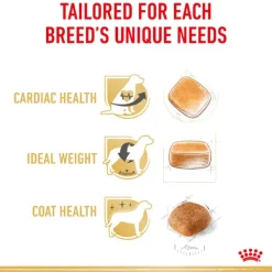New Royal Canin - Dry Royal Canin - Cavalier King Charles Breed Adult Dog Dry Food (3kg)