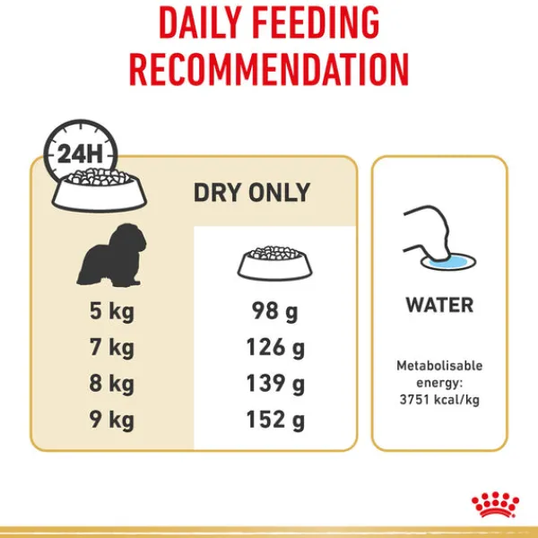 New Royal Canin - Dry Royal Canin - Cavalier King Charles Breed Adult Dog Dry Food (3kg)