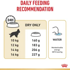 New Royal Canin - Dry Royal Canin - Cocker Spaniel Breed Adult Dog Dry Food (3kg)