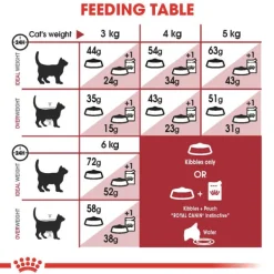 Sale Royal Canin - Dry Royal Canin - Fit Adult Cat Dry Food (4kg)