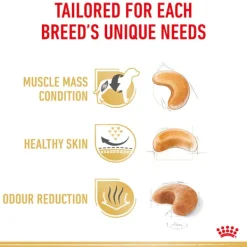 Outlet Royal Canin - Dry Royal Canin - French Bulldog Breed Adult Dog Dry Food (3kg)