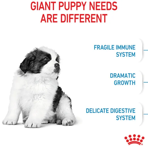 Sale Royal Canin - Dry Royal Canin - Giant Puppy Dog Dry Food (15kg)
