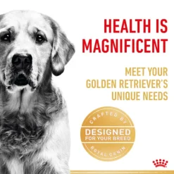 Fashion Royal Canin - Dry Royal Canin - Golden Retriever Breed Adult Dog Dry Food (12kg)