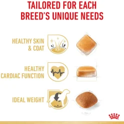Fashion Royal Canin - Dry Royal Canin - Golden Retriever Breed Adult Dog Dry Food (12kg)