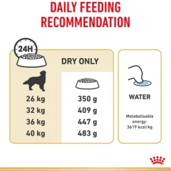Fashion Royal Canin - Dry Royal Canin - Golden Retriever Breed Adult Dog Dry Food (12kg)