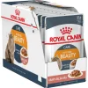 Best Royal Canin - Wet Royal Canin - Hair & Skin Care Gravy Adult Cat Wet Food (85g x 12pk)