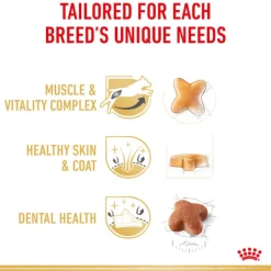 Discount Royal Canin - Dry Royal Canin - Jack Russell Terrier Breed Adult Dog Dry Food (3kg)
