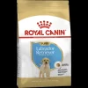 Best Royal Canin - Dry Royal Canin - Labrador Breed Puppy Dog Dry Food (12kg)