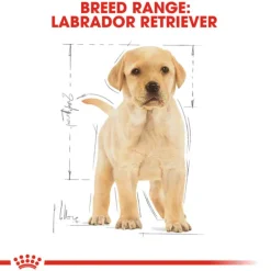 Best Royal Canin - Dry Royal Canin - Labrador Breed Puppy Dog Dry Food (12kg)