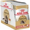 Online Royal Canin - Wet Royal Canin - Maine Coon Breed Gravy Adult Cat Wet Food (85g x 12pk)
