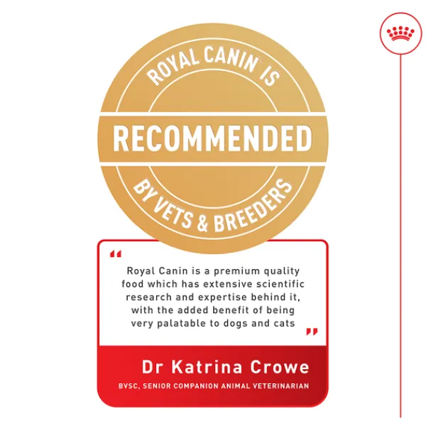 Hot Royal Canin - Dry Royal Canin - Maine Coon Breed Adult Cat Dry Food (10kg)