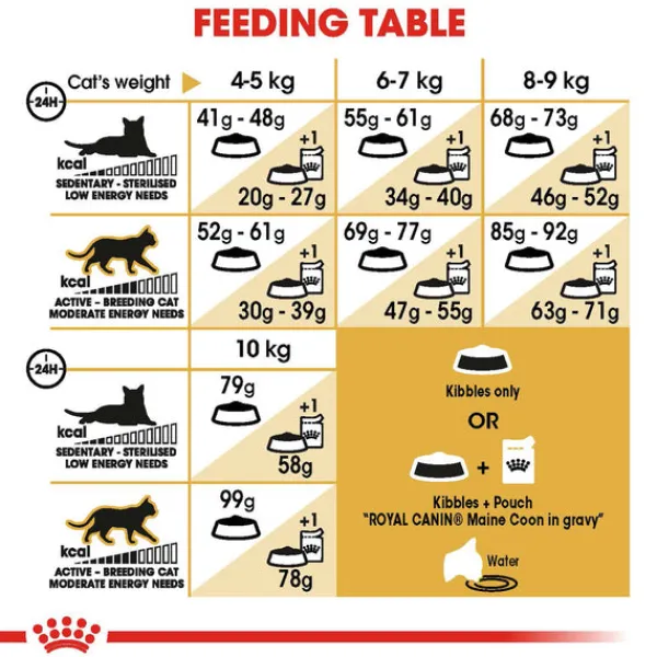 Hot Royal Canin - Dry Royal Canin - Maine Coon Breed Adult Cat Dry Food (10kg)