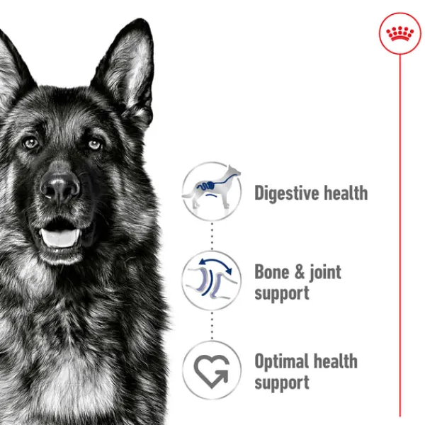 Online Royal Canin - Dry Royal Canin - Maxi Adult Dog Dry Food (15kg)