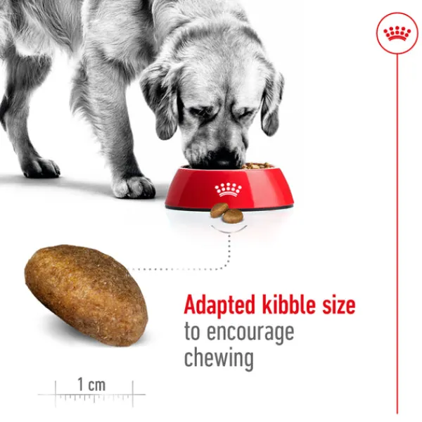Online Royal Canin - Dry Royal Canin - Maxi Adult Dog Dry Food (15kg)