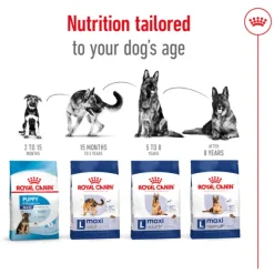 Online Royal Canin - Dry Royal Canin - Maxi Adult Dog Dry Food (15kg)