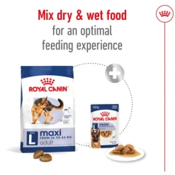 Online Royal Canin - Dry Royal Canin - Maxi Adult Dog Dry Food (15kg)