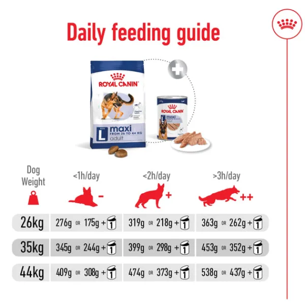 Online Royal Canin - Dry Royal Canin - Maxi Adult Dog Dry Food (15kg)