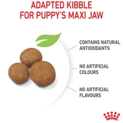 Fashion Royal Canin - Dry Royal Canin - Maxi Puppy Dog Dry Food (15kg)