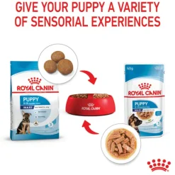 Online Royal Canin - Wet Royal Canin - Maxi Puppy Dog Wet Food (140g x 10pk)