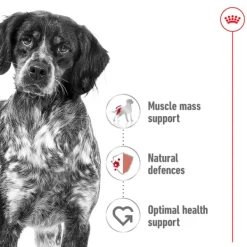 Discount Royal Canin - Dry Royal Canin - Medium Adult Dog Dry Food (15kg)