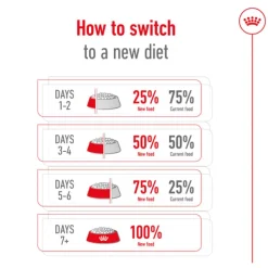 Discount Royal Canin - Dry Royal Canin - Medium Adult Dog Dry Food (15kg)