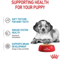 Sale Royal Canin - Wet Royal Canin - Medium Puppy Dog Wet Food (140g x 10pk)